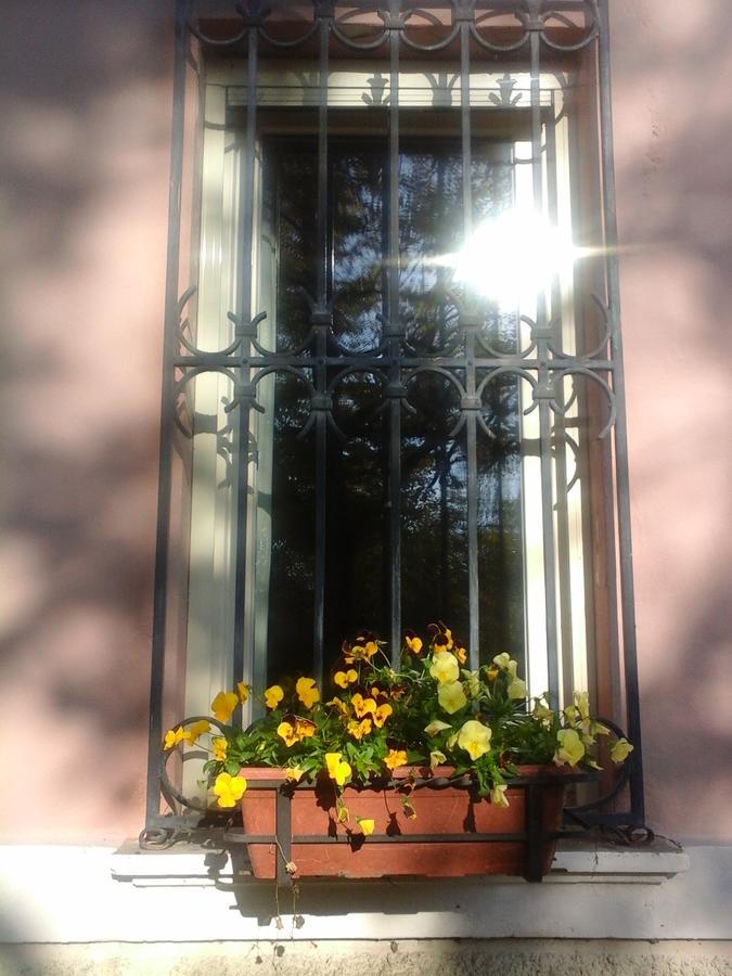 Cà Morari Bed & Breakfast Argenta Ngoại thất bức ảnh